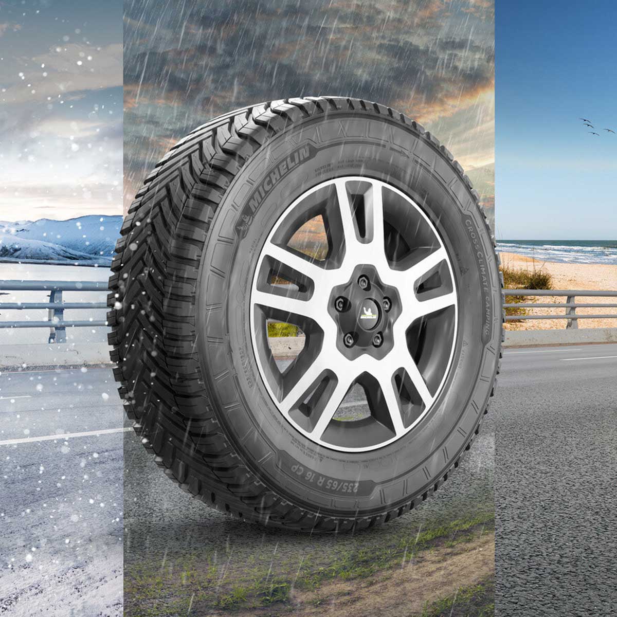 neumáticos Michelin para diferentes vehículos